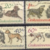 Клеймовани марки Фауна Куче 1973 от Чехословакия , снимка 1 - Филателия - 32266262