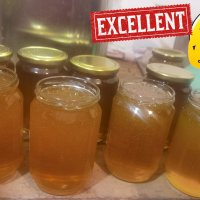 Продавам полифлорен пчелен мед - 8 лв. на буркан с винтова капачка, снимка 10 - Пчелни продукти - 15252670