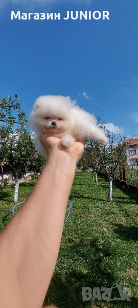 мини момиче, снимка 1