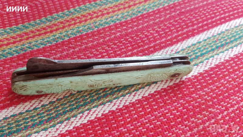 Ножка руска овощарска, снимка 1