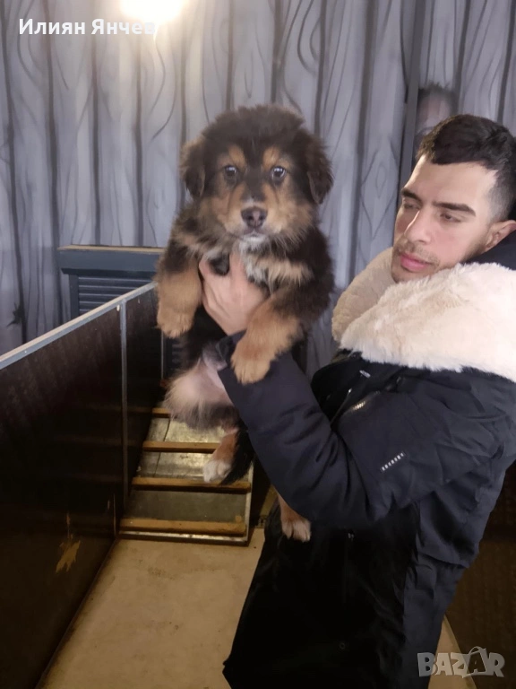 Подаряват се , снимка 1