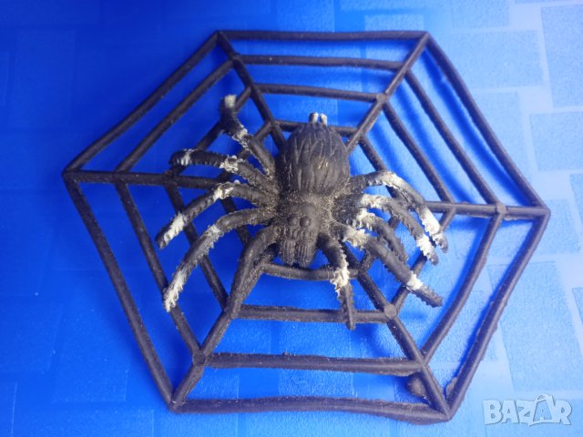 Паяк оплел мрежа