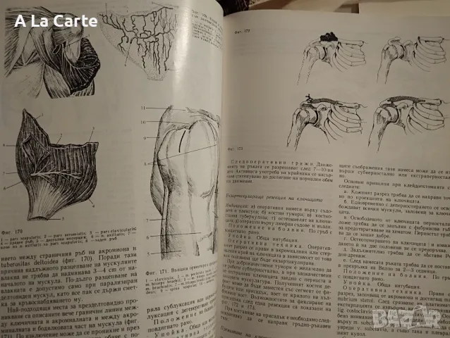 Оперативна Ортопедия и Травмотология, снимка 6 - Специализирана литература - 47990672