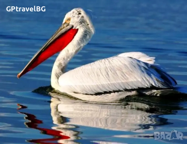 Езерото Керкини , снимка 2 - Автобусни екскурзии - 52664253