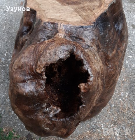 Голям дъбов пън, снимка 5 - Декорация за дома - 37897763