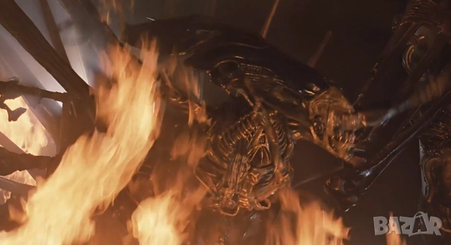 Пришълецът и Хищникът-колекция 15 филма и Сериалът Пришълец:Земя 2025, снимка 2 - Приключенски - 52257183