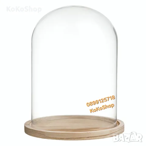 Стъклен купол-Ø 20 x 31 см./Стъклен декоративен купол с дървена основа