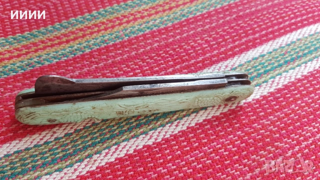 Ножка руска овощарска, снимка 1