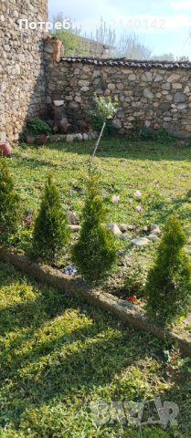 Къща за гости , снимка 16 - Къщи - 40329451