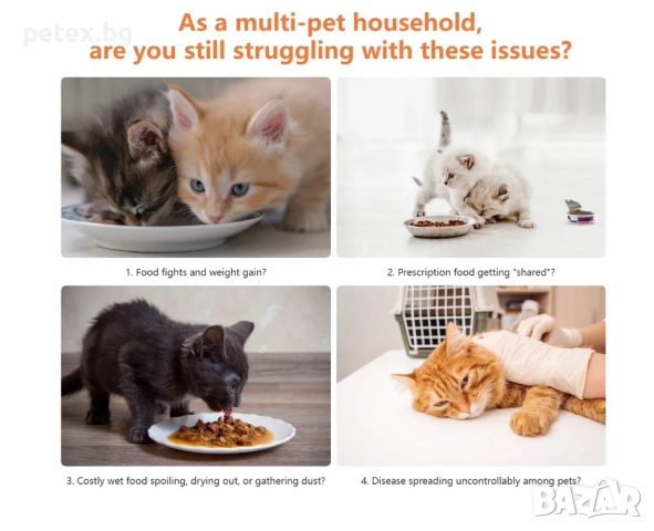 Petex Автоматична хранилка с микрочип , снимка 3 - За котки - 52657272