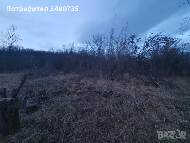 Къща в с Липница 60км от София , снимка 6 - Къщи - 47918148