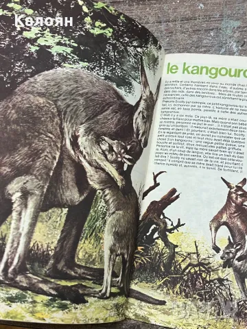 Комикс PIFOU, снимка 6 - Списания и комикси - 49418509