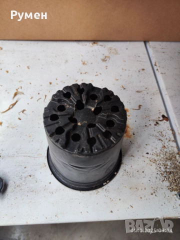 Кофички за разсад, снимка 3 - Градински цветя и растения - 51921215