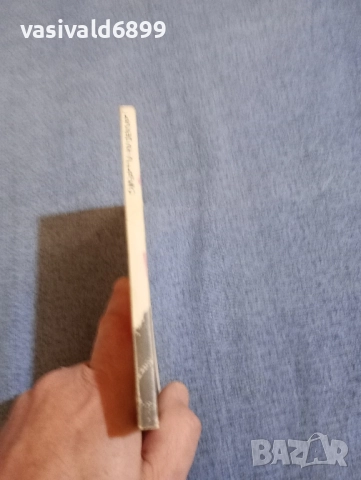 Дейвид Бозуърт - Смъртта на Декарт , снимка 2 - Художествена литература - 52521665