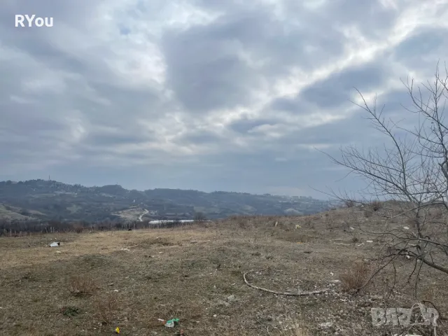 Лозе на 2.5 км до Сандански 1000кв.м