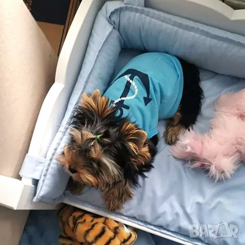 Тениски за кучета. Дрехи за куче. Блузка за куче. Синя и розова тениска за куче, снимка 5 - За кучета - 29374825