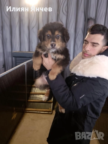 Подаряват се 