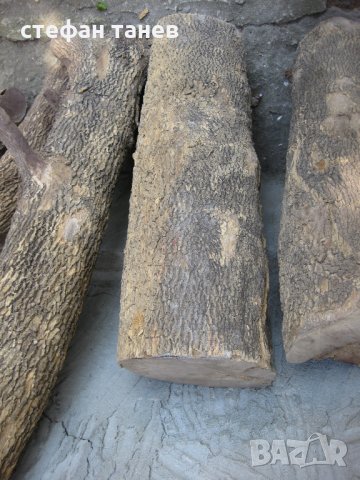 Чемшир - дървен материал за украсна резба, снимка 6 - Антикварни и старинни предмети - 18621658