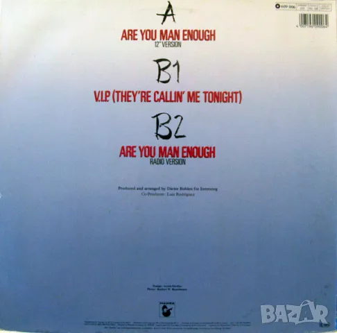 Грамофонни плочи Макси сингли  12" 25+ лева, снимка 2 - Грамофонни плочи - 49792079