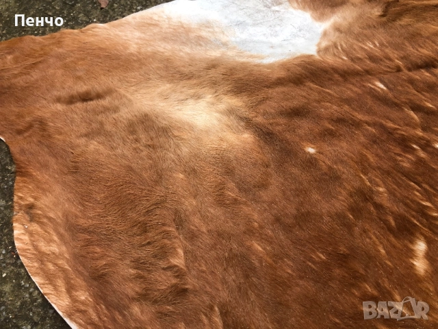 килим естествена ТЕЛЕШКА КОЖА, снимка 8 - Антикварни и старинни предмети - 51059292