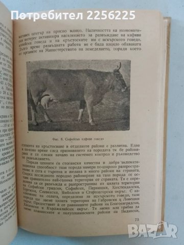 Дворно животновъдство, снимка 4 - Специализирана литература - 47640511