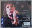 Компакт дискове CD Mick Jagger ‎– Goddessinthedoorway, снимка 2