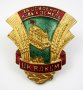 Стара съветска значка-СССР-Руски знак-Топ емайл-Винт-Съветски значки