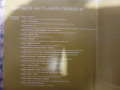 Два броя Cd дискове с чалга музика, хитове на Планета пайнер, снимка 3