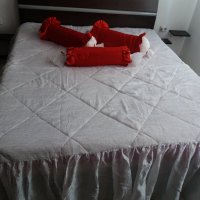 Възглавници бонбон +перде, снимка 3 - Покривки за легло - 28146198