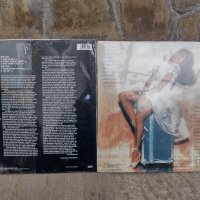 Tina Turner - Vinyl LP, снимка 9 - Грамофонни плочи - 38597865