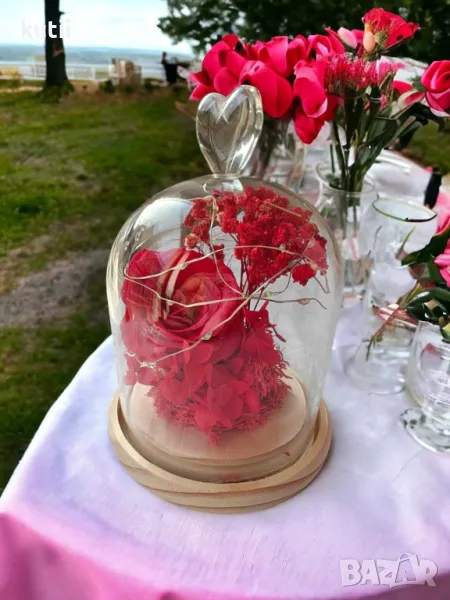 💥🔥ПРОМО ЦЕНА на РОЗА В СТЪКЛЕНИЦА🔥💥 🔥ПРОМО ЦЕНА: 24,99 лв 🔥, снимка 1