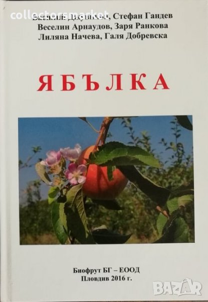 Ябълка, снимка 1