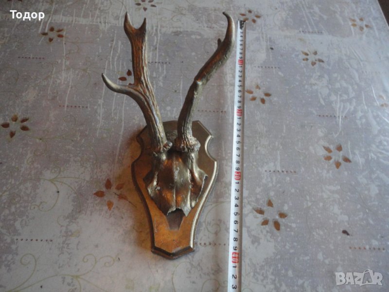 Старинен немски ловен трофей 4 , снимка 1
