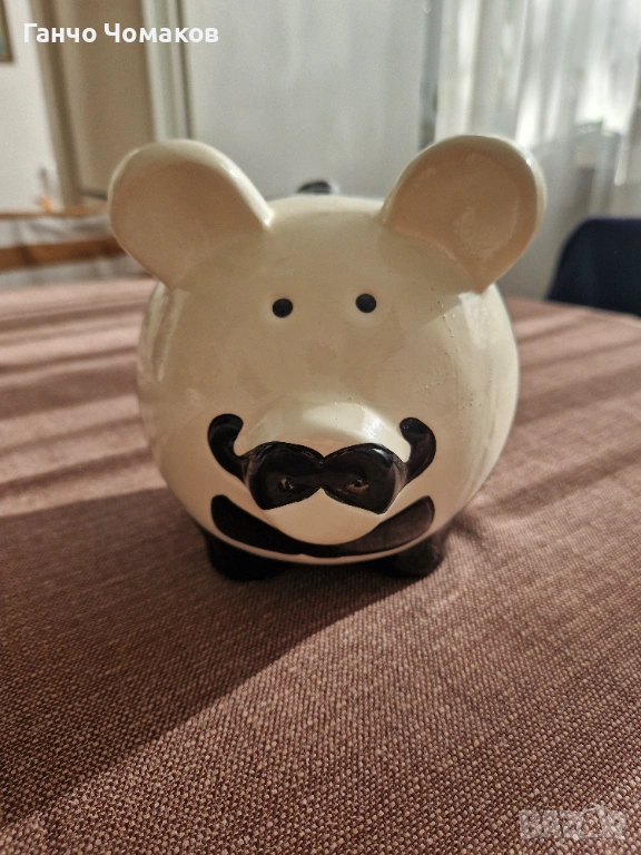 Прасенце касичка, снимка 1