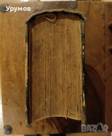 Българска енциклопедия - Братя Данчови. Първо издание - 1936 г. , снимка 6 - Енциклопедии, справочници - 49685152