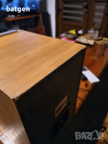 Sony ss-nx1, снимка 8 - Тонколони - 51955620