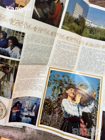 Рекламна туристическа брошура на Кишиневското училище за винопроизводство, снимка 3 - Колекции - 51213042