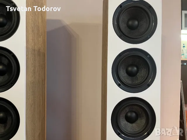 ELAC DFR 52 Debut Reference, снимка 11 - Тонколони - 48264987