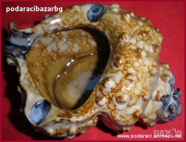 ПЕПЕЛНИК -РАПАН  , снимка 1