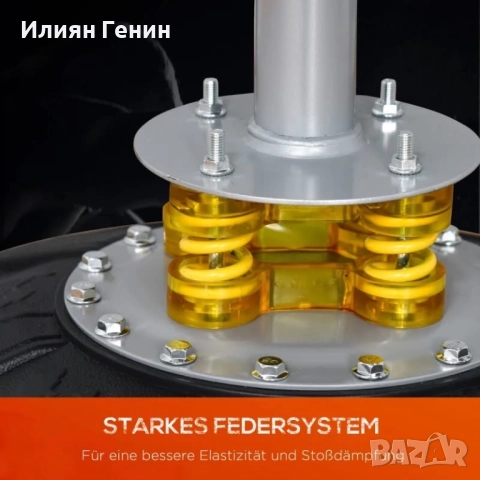 Боксова круша, снимка 5 - Бокс - 52643903