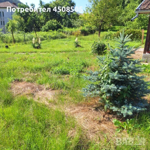 Поддръжка на вашия имот/Вила и парцел , снимка 12 - Други - 50729474