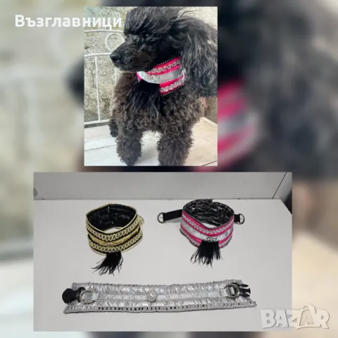 Дъждобран гащеризон, гети и нашийник, снимка 5 - За кучета - 48490167