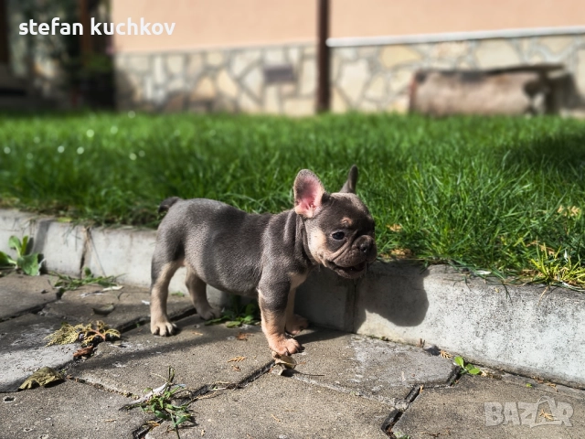 Момиче, снимка 1