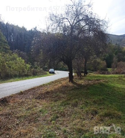 Продавам имот в гр. Берковица, снимка 2 - Парцели - 51493622