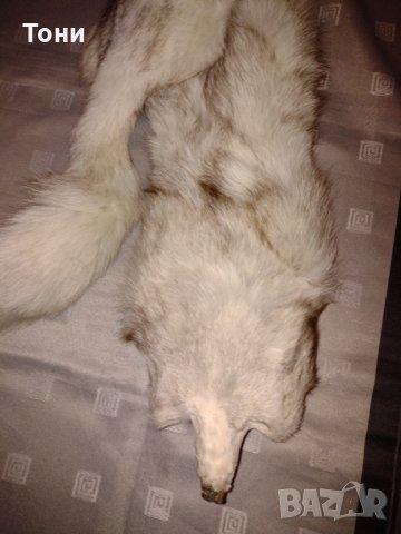  Шал яка от полярна бяла лисица , снимка 3 - Шапки - 19116831
