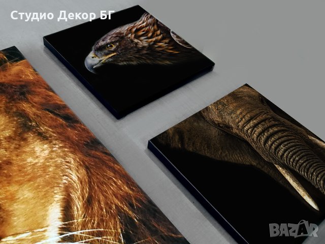 КАРТИНА ДИВИ ЖИВОТНИ 5 ЧАСТИ , снимка 5 - Картини - 24894475