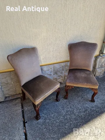 Страхотен чифт английска английски столове , снимка 4 - Антикварни и старинни предмети - 47881659