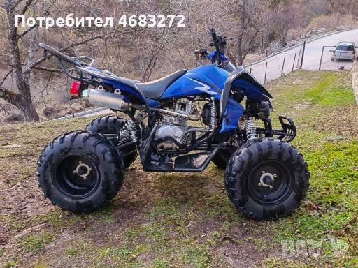 атв kymco 250, снимка 5 - Мотоциклети и мототехника - 52798153