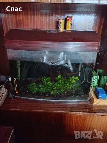 Аквариум 80 литра