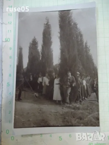 Снимка стара пред дърветата - 1